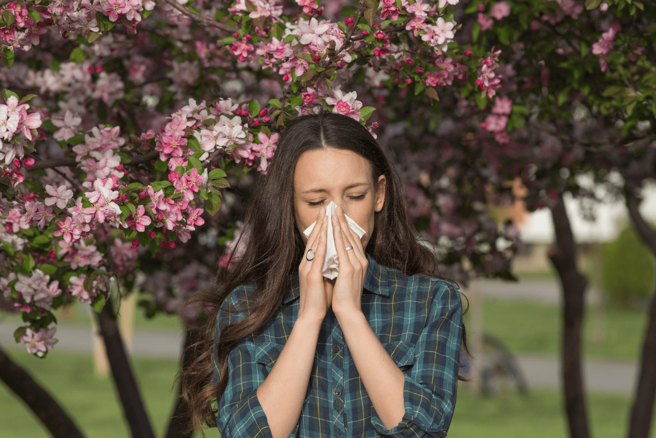 Allergie-primaverili Home
